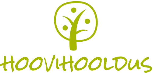 Hoovihoodus